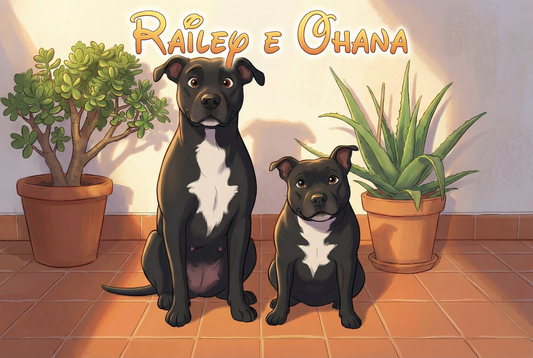 Canvas 20x20 personalizzato con la tua foto